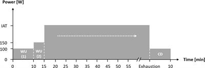 Effects of Acute Normobaric Hypoxia on Non-linear Dynamics of Cardiac Autonomic Activity During Constant Workload Cycling Exercise